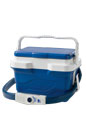 Iceman Cooling System